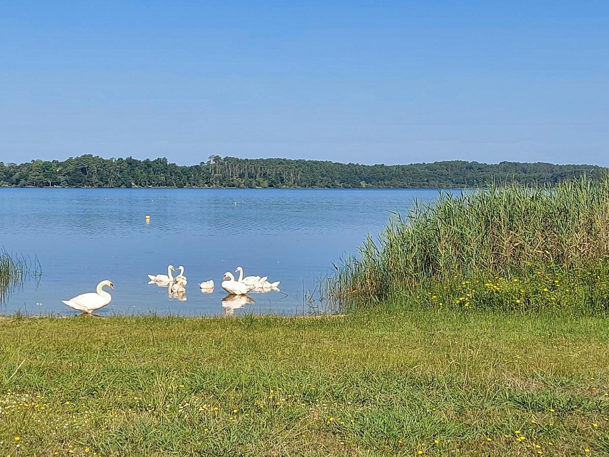 T2, 50M Du Lac, Piscine, Wifi, Jardin Terrasse Sans Vis-A-Vis, 1 A 4 Pers Aureilhan  Zewnętrze zdjęcie