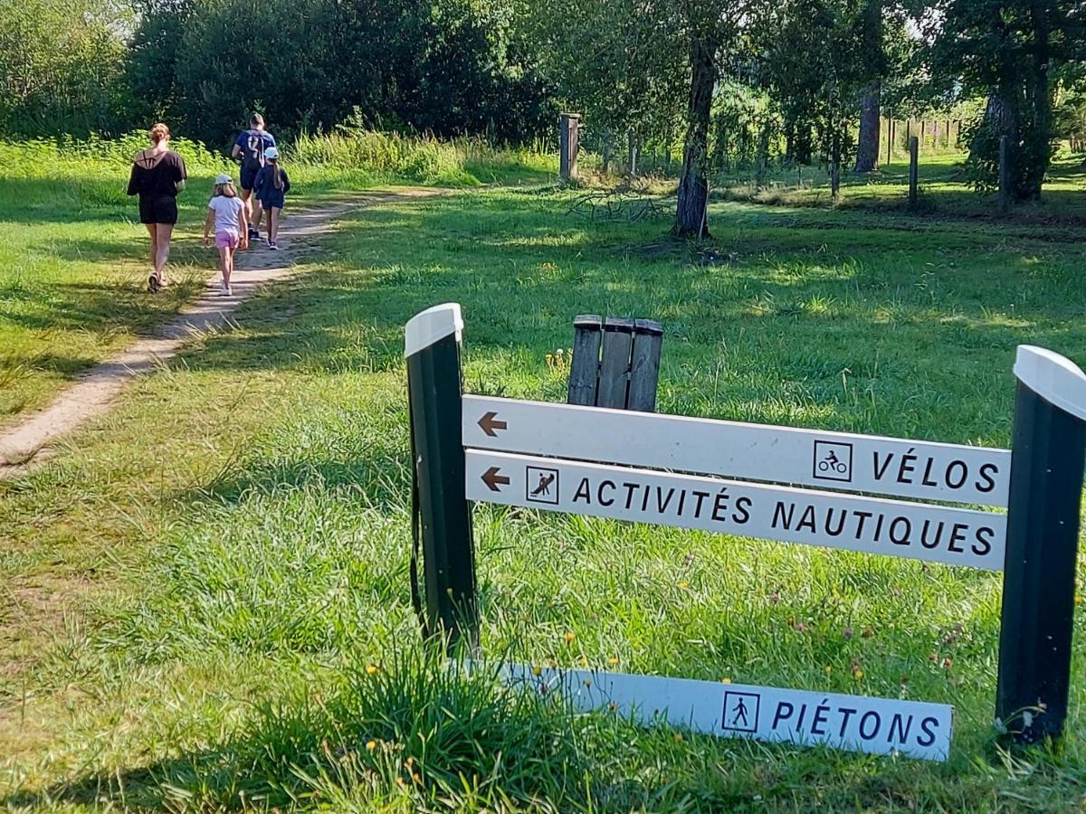 T2, 50M Du Lac, Piscine, Wifi, Jardin Terrasse Sans Vis-A-Vis, 1 A 4 Pers Aureilhan  Zewnętrze zdjęcie