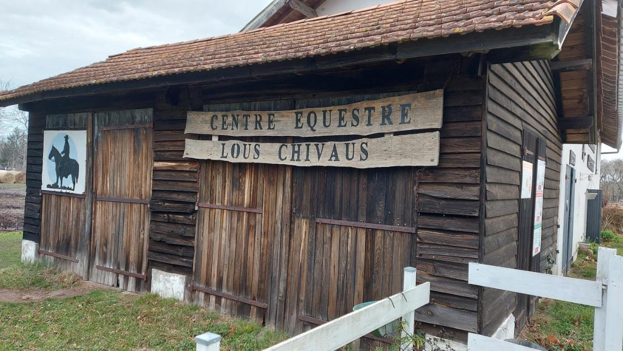 T2, 50M Du Lac, Piscine, Wifi, Jardin Terrasse Sans Vis-A-Vis, 1 A 4 Pers Aureilhan  Zewnętrze zdjęcie